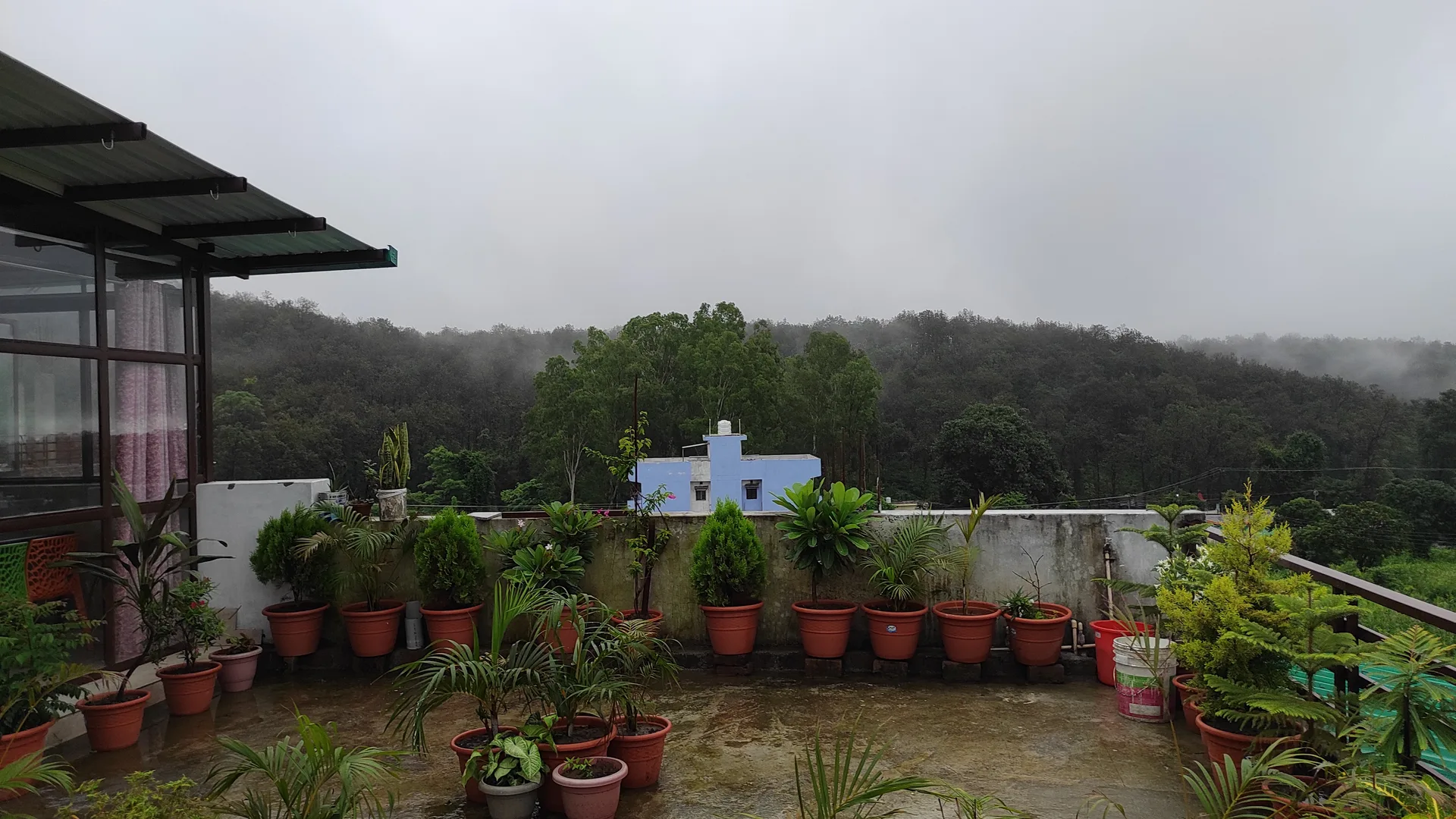 Garden area